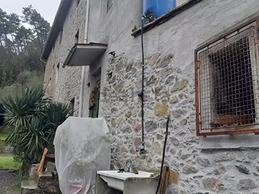 Immagine 3 di Casa indipendente in vendita  a Buti