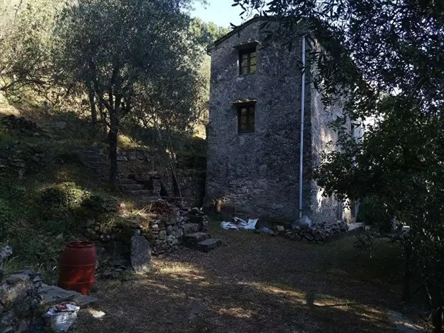Immagine 1 di Casa indipendente in vendita  a Buti