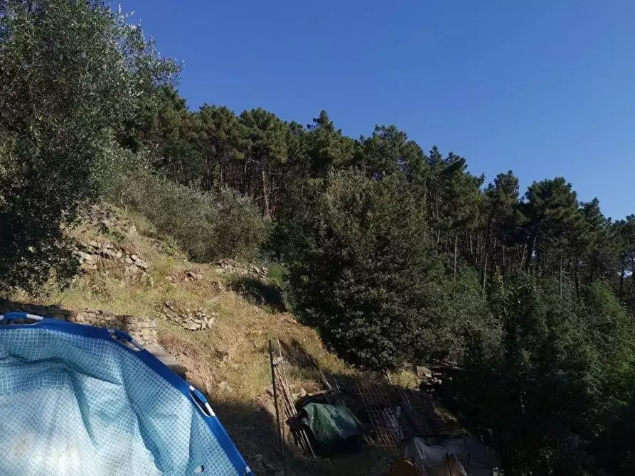 Immagine 6 di Casa indipendente in vendita  a Buti