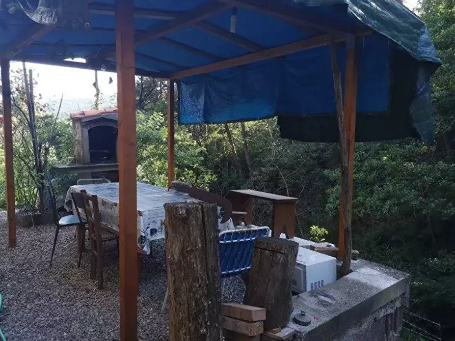 Immagine 5 di Casa indipendente in vendita  a Buti