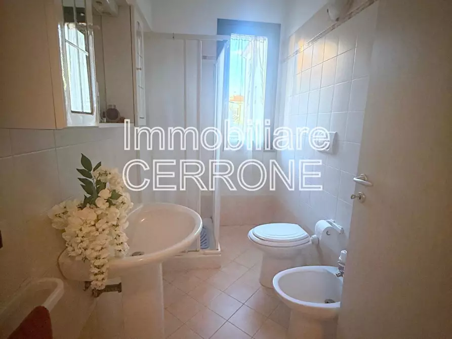 Immagine 9 di Appartamento in vendita  a Cecina