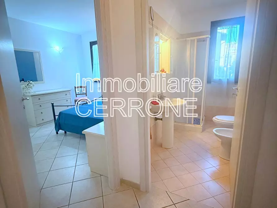 Immagine 11 di Appartamento in vendita  a Cecina