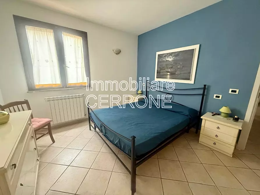 Immagine 8 di Appartamento in vendita  a Cecina