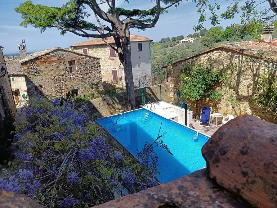 Immagine 3 di Villa in vendita  a Bibbona