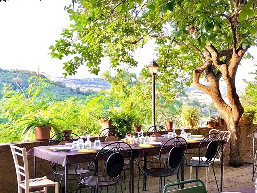 Immagine 1 di Villa in vendita  a Bibbona