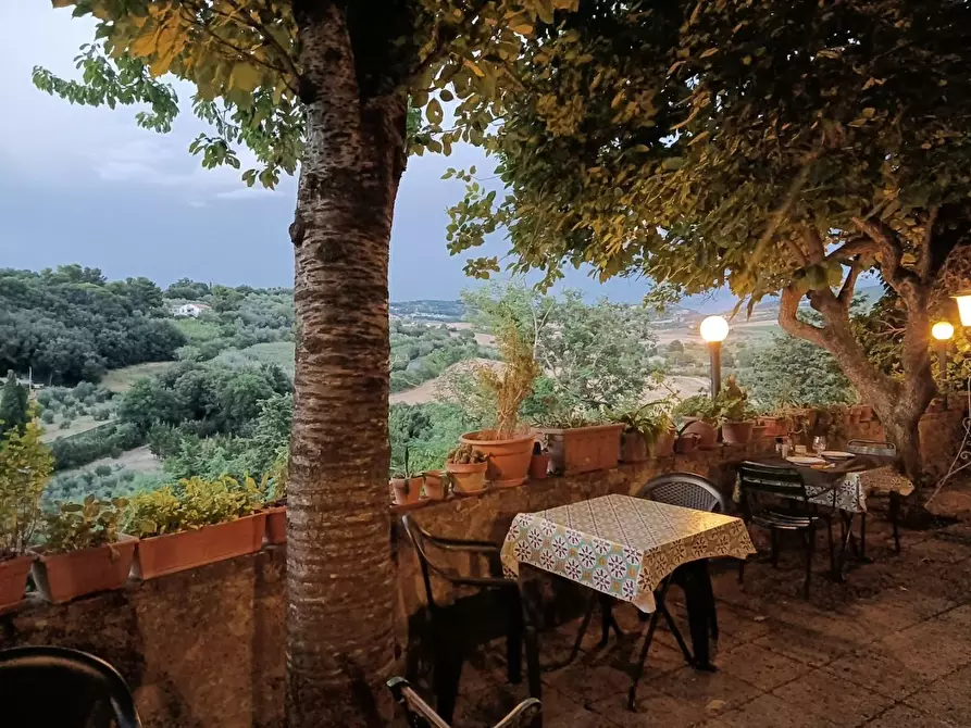 Immagine 2 di Villa in vendita  a Bibbona