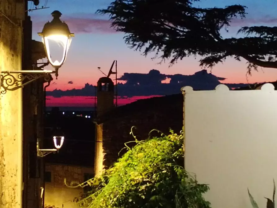 Immagine 6 di Villa in vendita  a Bibbona