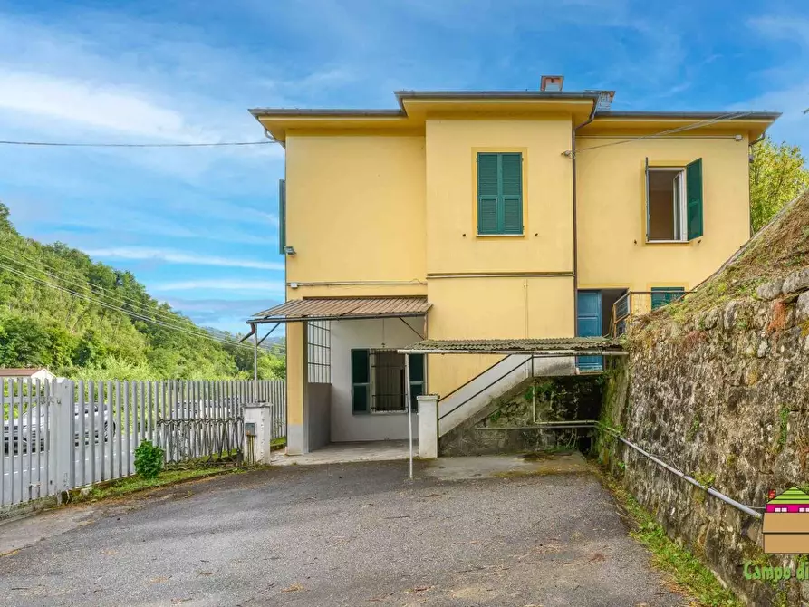 Immagine 5 di Casa indipendente in vendita  a Borghetto Di Vara