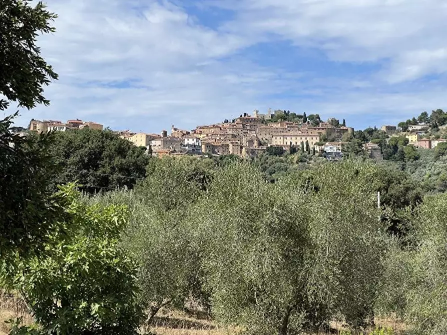 Immagine 48 di Casa indipendente in vendita  a Campiglia Marittima