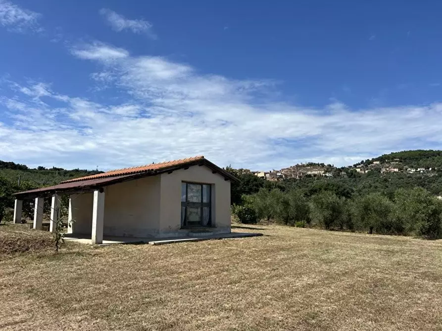 Immagine 3 di Casa indipendente in vendita  a Campiglia Marittima