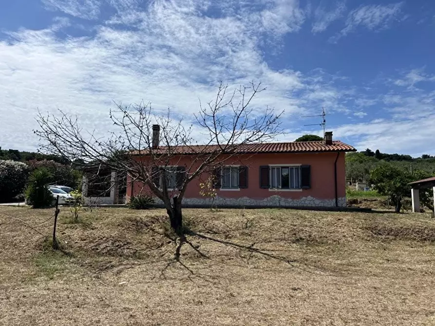 Immagine 4 di Casa indipendente in vendita  a Campiglia Marittima