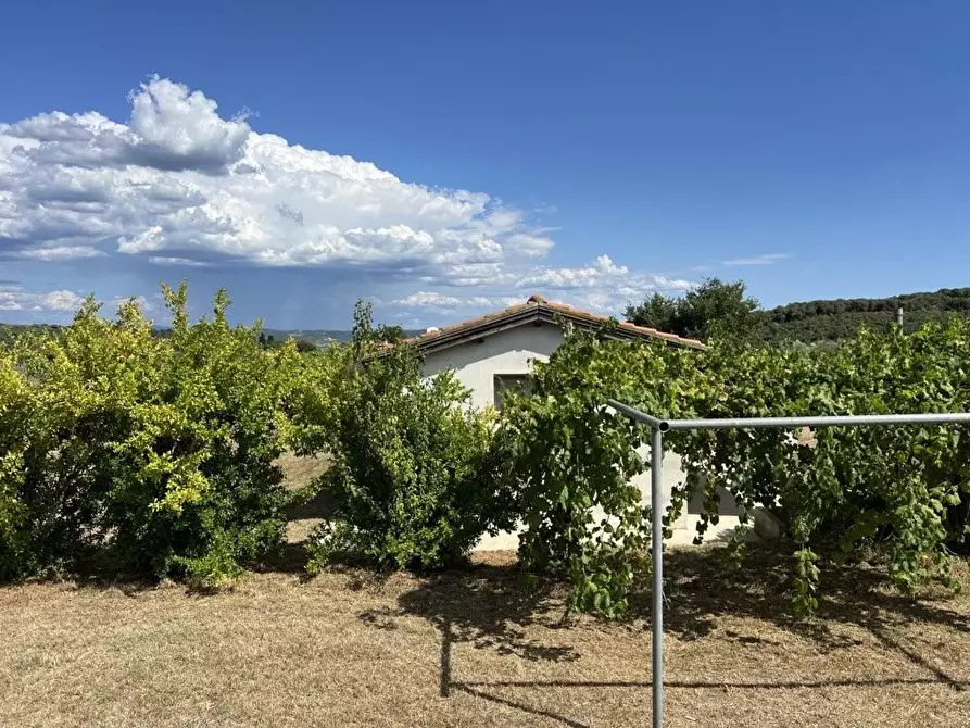 Immagine 52 di Casa indipendente in vendita  a Campiglia Marittima