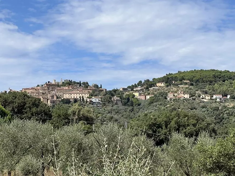 Immagine 51 di Casa indipendente in vendita  a Campiglia Marittima