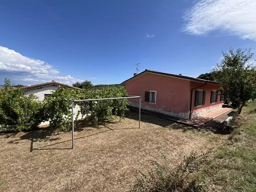 Immagine 49 di Casa indipendente in vendita  a Campiglia Marittima