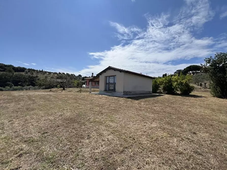 Immagine 8 di Casa indipendente in vendita  a Campiglia Marittima