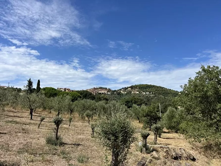 Immagine 50 di Casa indipendente in vendita  a Campiglia Marittima