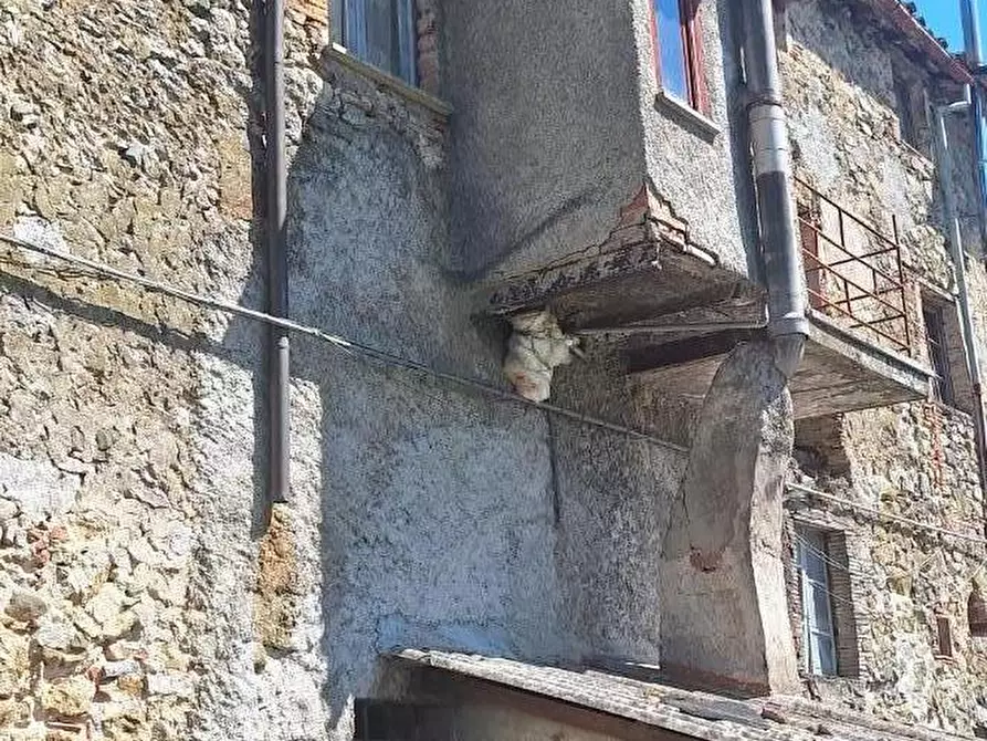 Immagine 2 di Terratetto in vendita  a Borgo A Mozzano