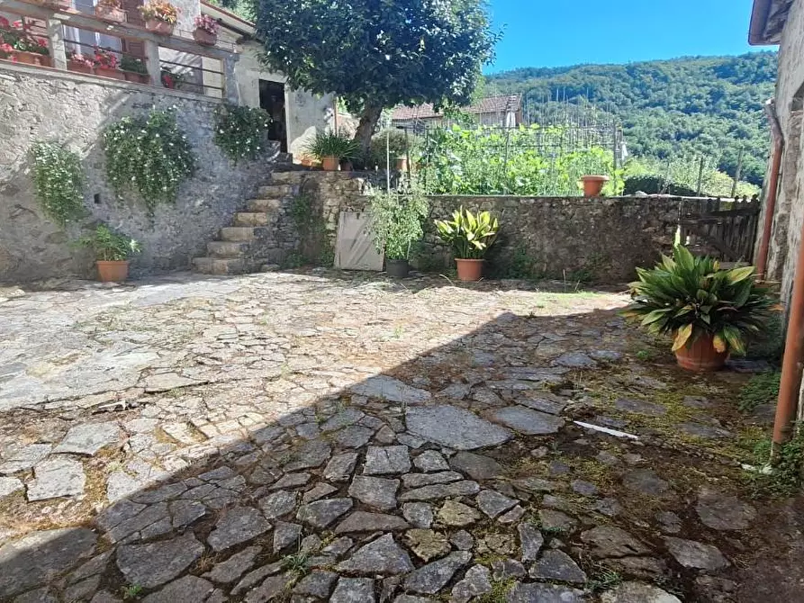 Immagine 6 di Terratetto in vendita  a Pescaglia