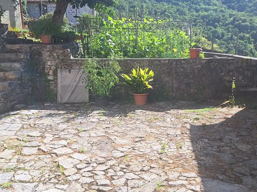 Immagine 3 di Terratetto in vendita  a Pescaglia