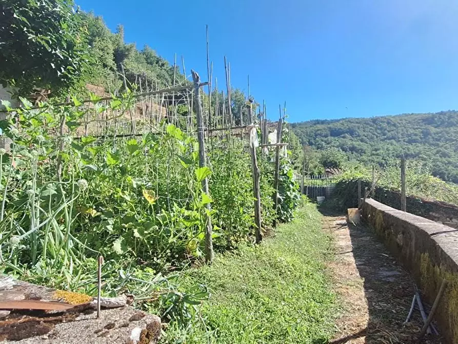 Immagine 10 di Terratetto in vendita  a Pescaglia