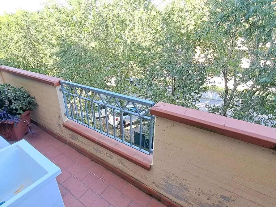 Immagine 5 di Appartamento in vendita  a Rosignano Marittimo