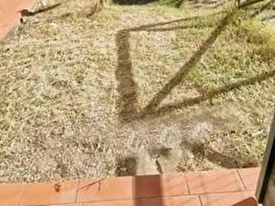 Immagine 11 di Appartamento in vendita  a Monteriggioni