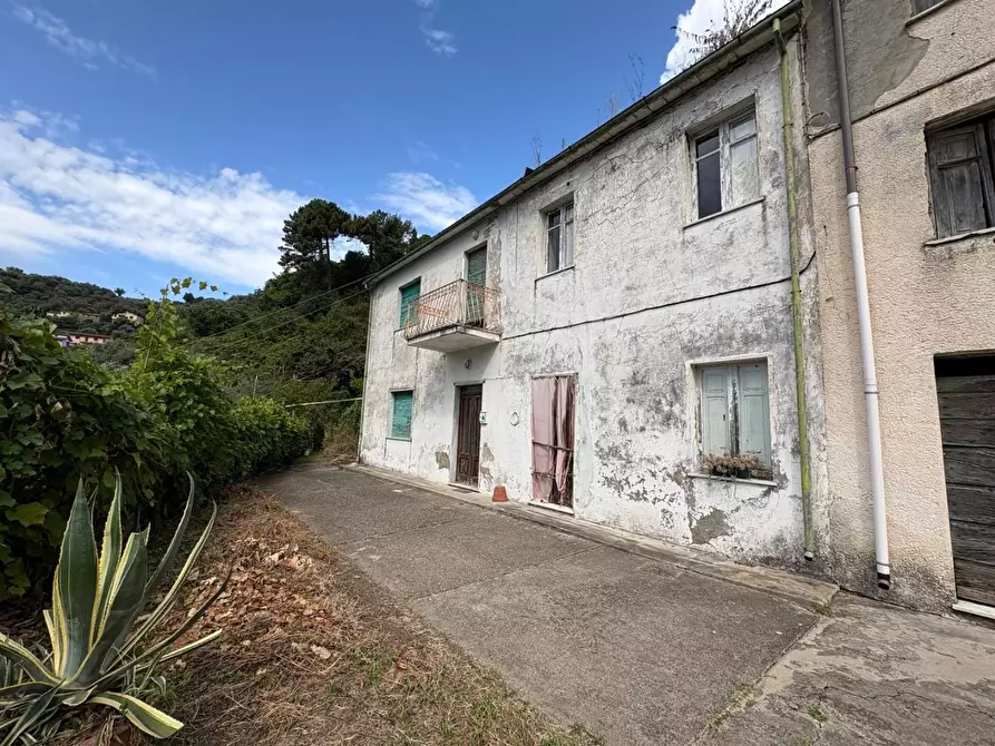 Immagine 6 di Rustico / casale in vendita  a Montignoso