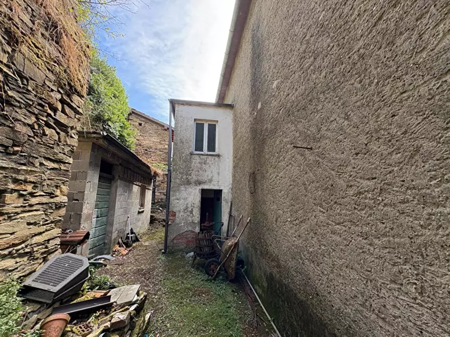 Immagine 11 di Rustico / casale in vendita  a Montignoso