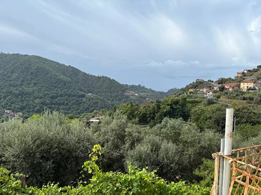 Immagine 23 di Rustico / casale in vendita  a Montignoso