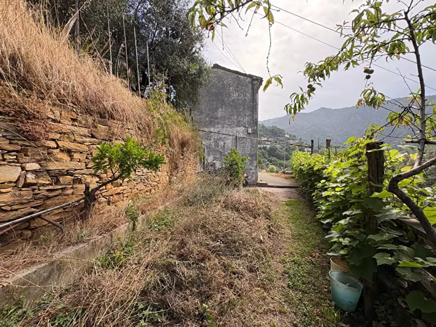 Immagine 8 di Rustico / casale in vendita  a Montignoso