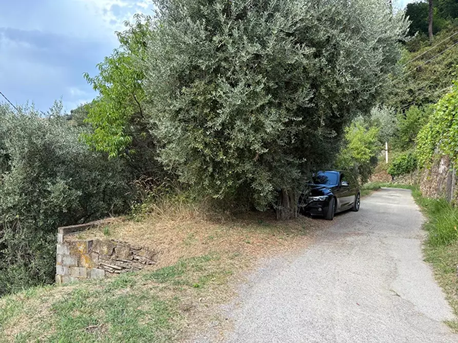 Immagine 2 di Rustico / casale in vendita  a Montignoso