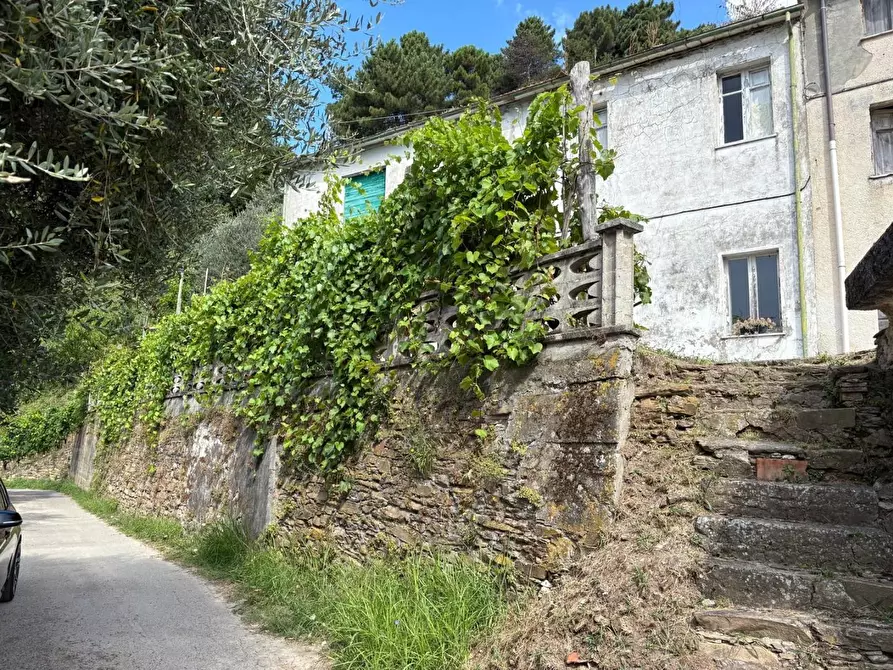 Immagine 1 di Rustico / casale in vendita  a Montignoso