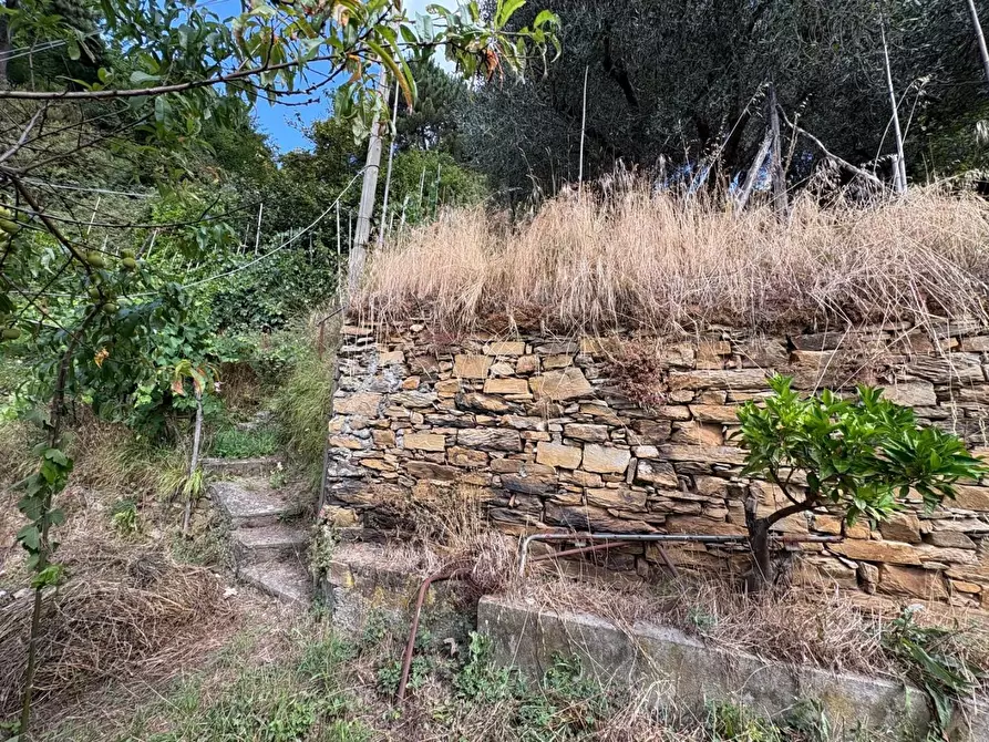 Immagine 10 di Rustico / casale in vendita  a Montignoso