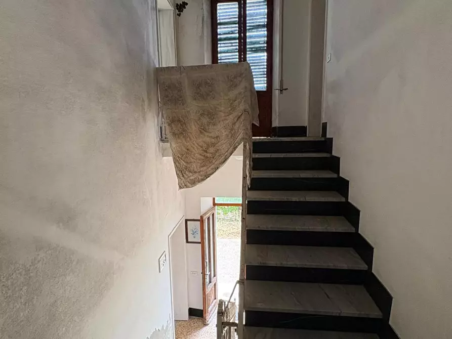 Immagine 18 di Rustico / casale in vendita  a Montignoso