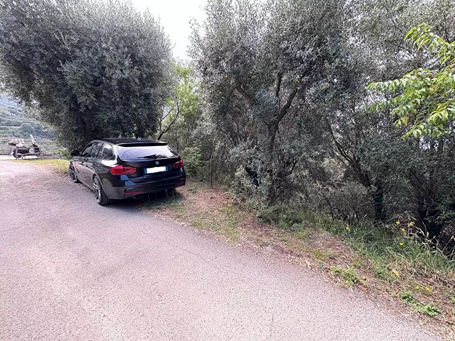 Immagine 4 di Rustico / casale in vendita  a Montignoso