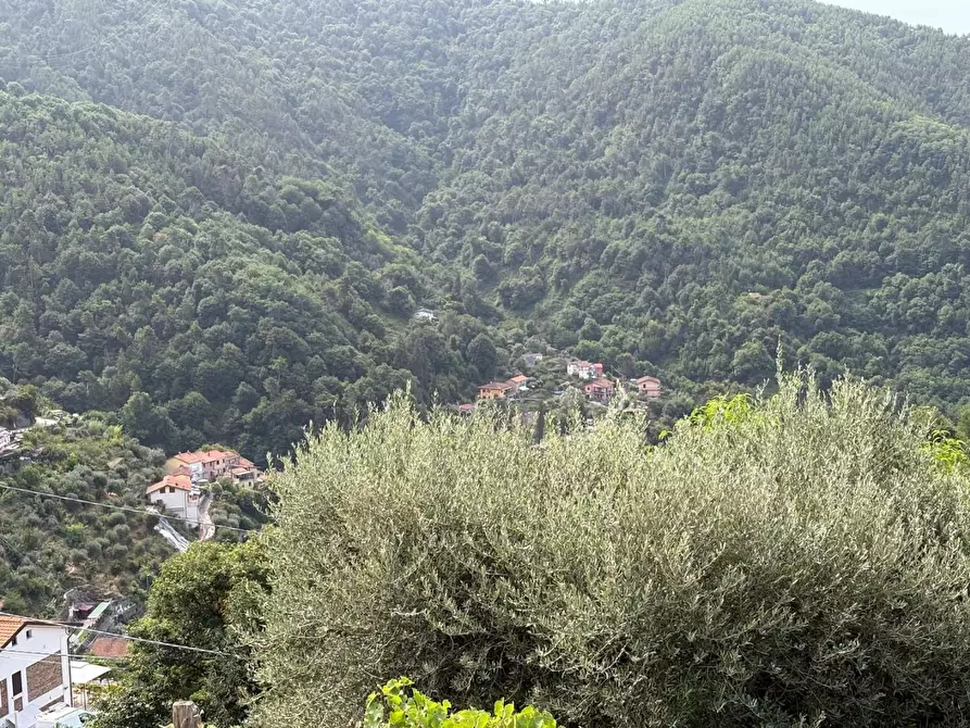 Immagine 26 di Rustico / casale in vendita  a Montignoso