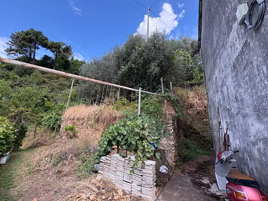 Immagine 7 di Rustico / casale in vendita  a Montignoso