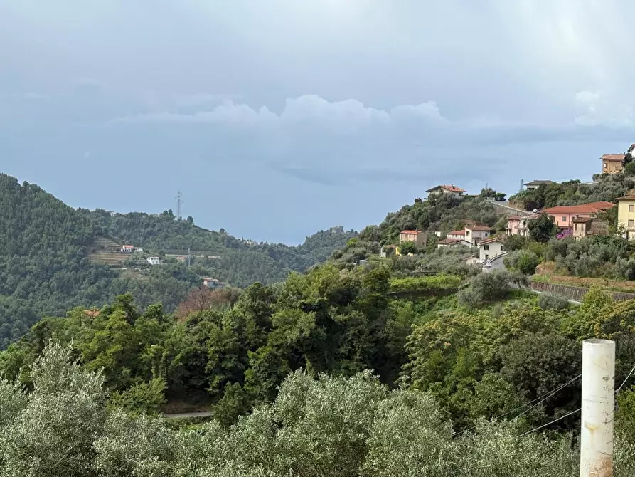 Immagine 24 di Rustico / casale in vendita  a Montignoso