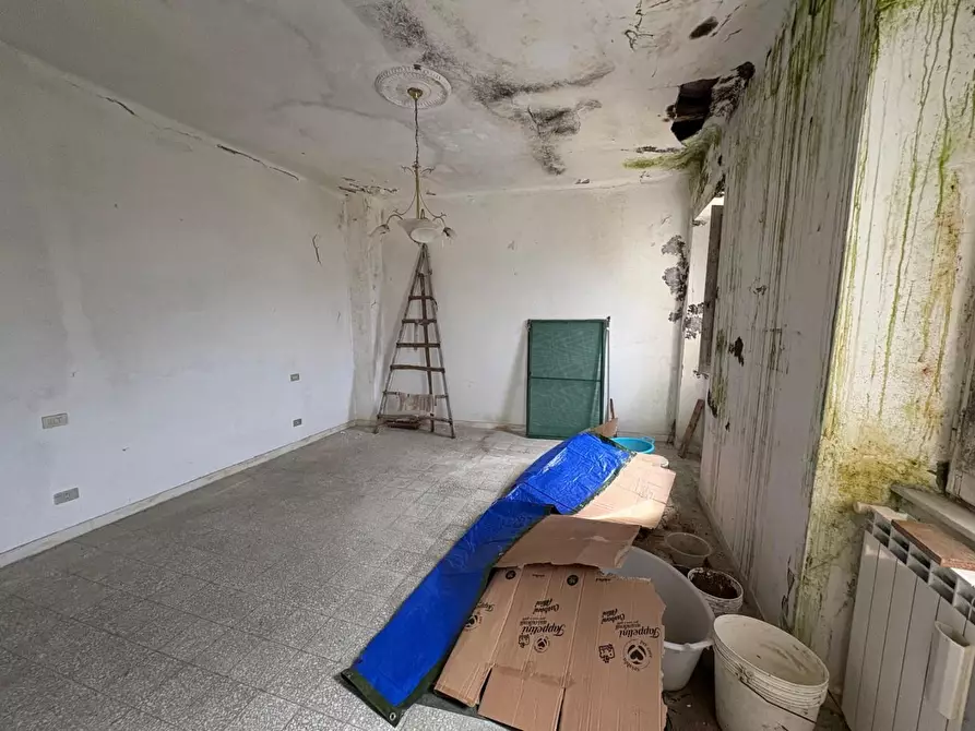 Immagine 20 di Rustico / casale in vendita  a Montignoso