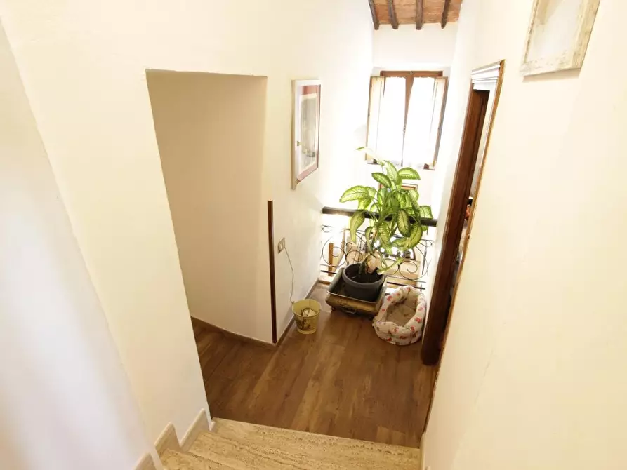 Immagine 22 di Appartamento in vendita  a Sovicille