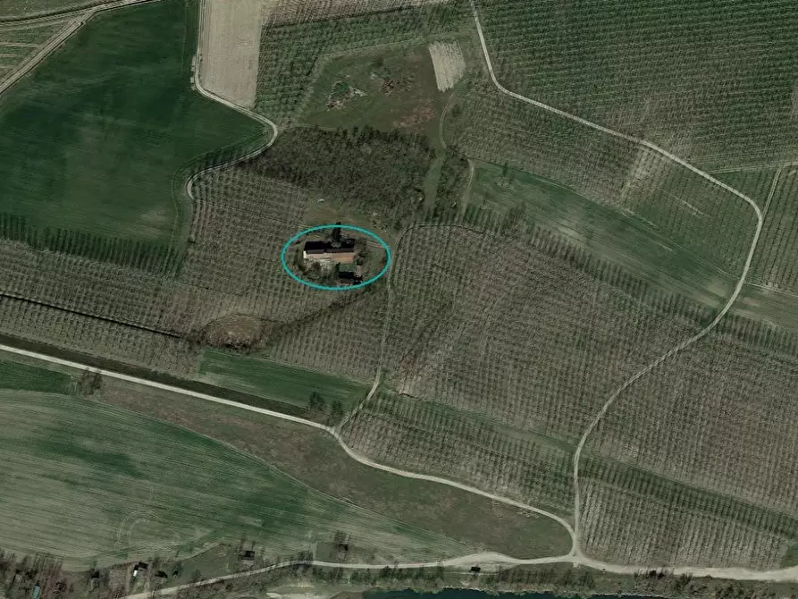 Immagine 2 di Appartamento in vendita  a Frascarolo