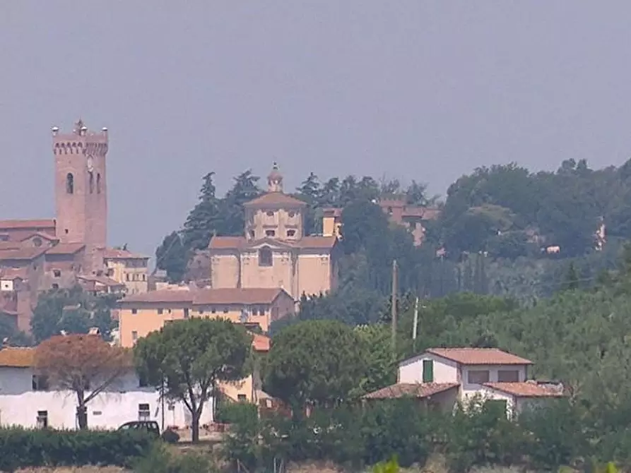 Immagine 4 di Rustico / casale in vendita  a San Miniato