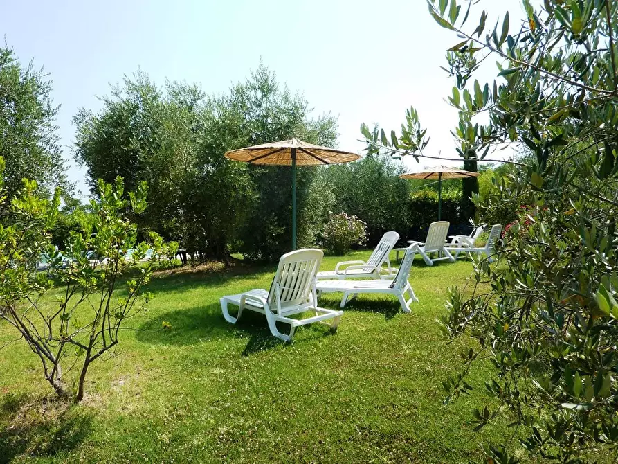 Immagine 6 di Rustico / casale in vendita  a San Miniato