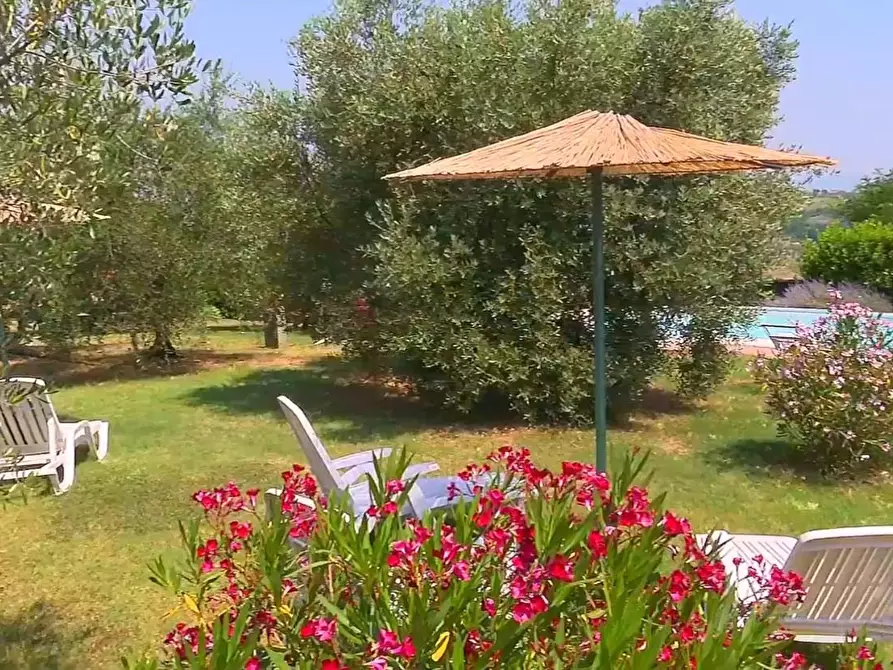 Immagine 20 di Rustico / casale in vendita  a San Miniato