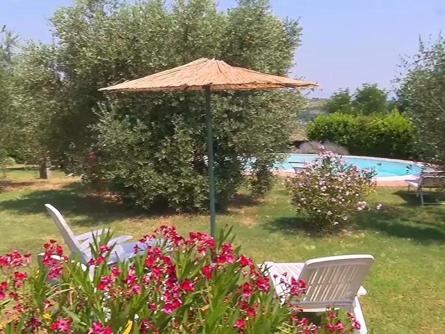 Immagine 28 di Rustico / casale in vendita  a San Miniato