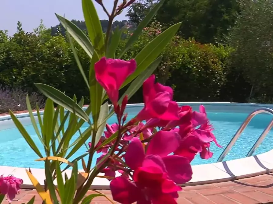 Immagine 22 di Rustico / casale in vendita  a San Miniato