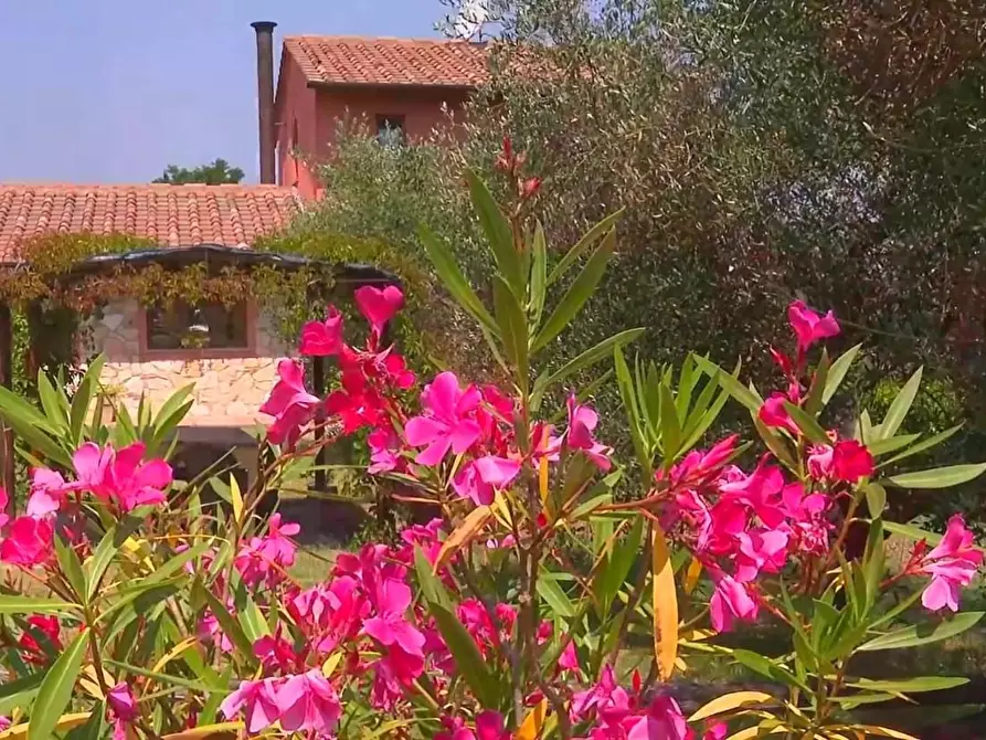 Immagine 15 di Rustico / casale in vendita  a San Miniato