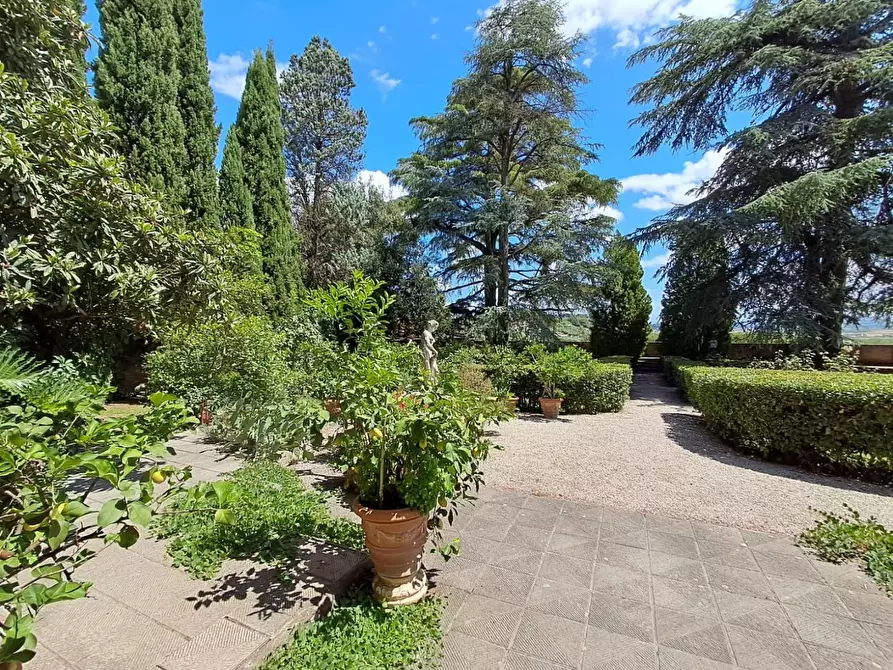 Immagine 26 di Villa in vendita  a Santa Maria A Monte