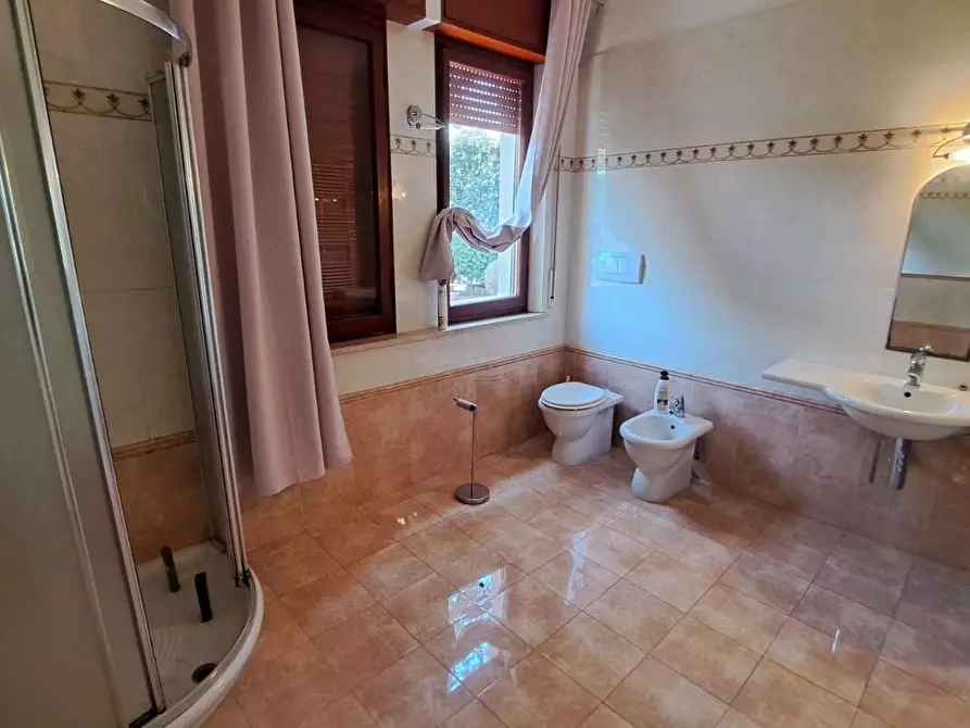 Immagine 21 di Casa trifamiliare in vendita  a Rosignano Marittimo