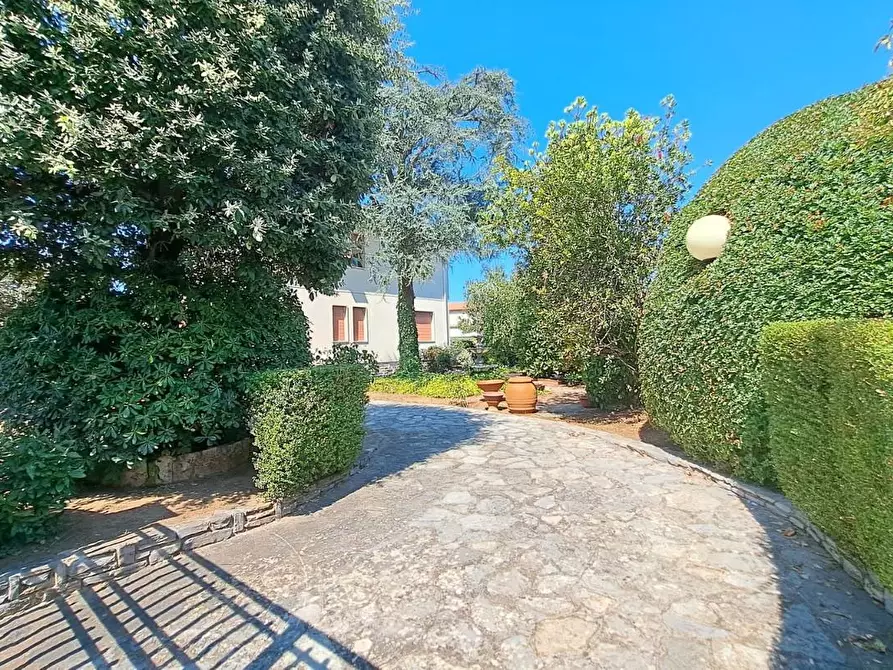 Immagine 19 di Casa trifamiliare in vendita  a Rosignano Marittimo